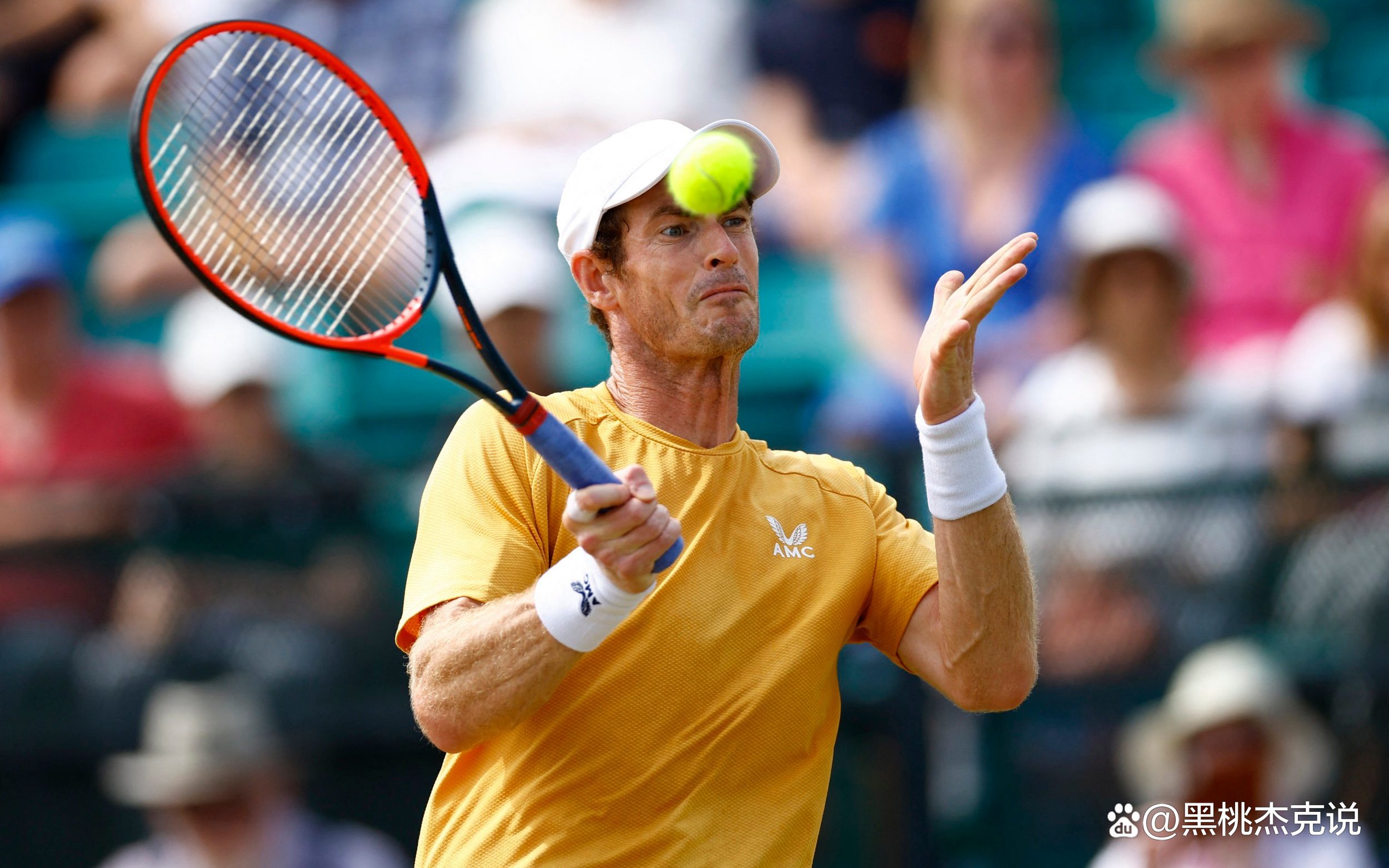 温网横扫戴维斯杯，穆雷关键制胜