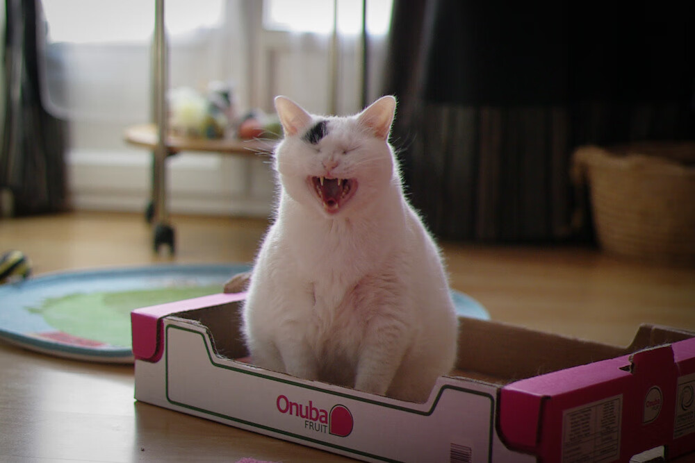 赖斯!唯一先生开启米兰德比新纪元