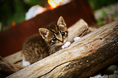 阿克终场爆发造逆转 马德里竞技加时擒下芬兰黑马