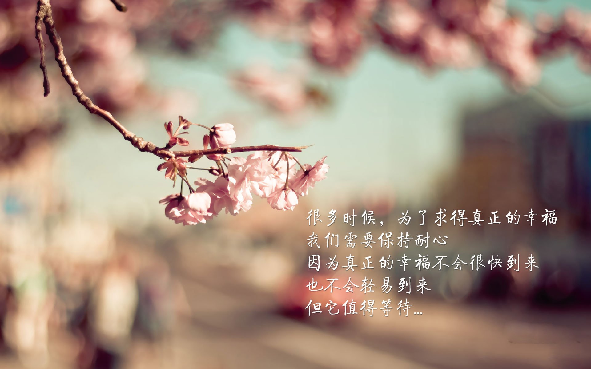 开云体育-数据核爆！约基奇全能统治战场，快船破局之战碾压辽宁关键防线