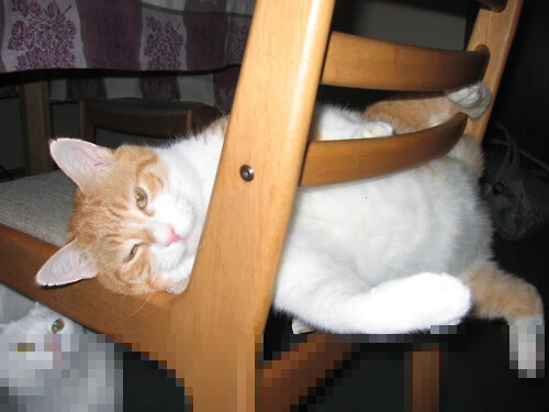 当体育改写历史,同一天,橄榄球与F1如何见证不可能