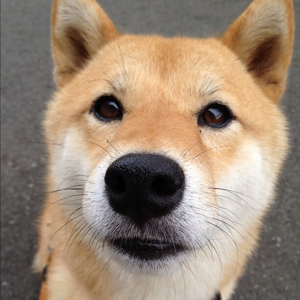 风起迈阿密，文班亚马，一场比赛定义未来的风暴