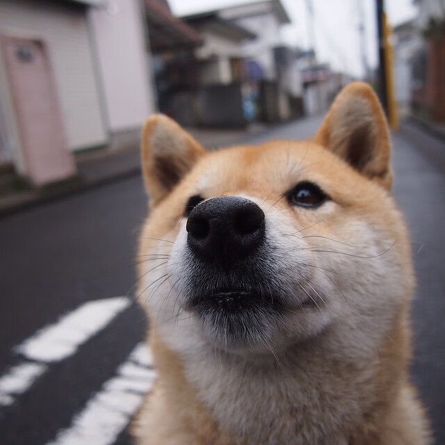 铁壁·皮克,东决之夜,他以防守定义伟大