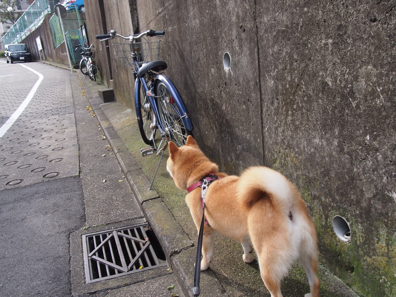 金州防线在他面前如晨雾散尽,霍勒迪一战锁定全场最佳无争议