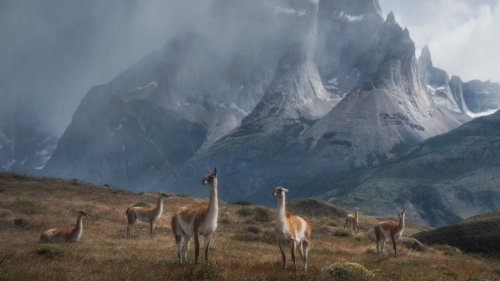 开云体育入口-赛车啸叫 巨星屏息，那个夜晚萨拉赫在F1街道赛的十级亢奋