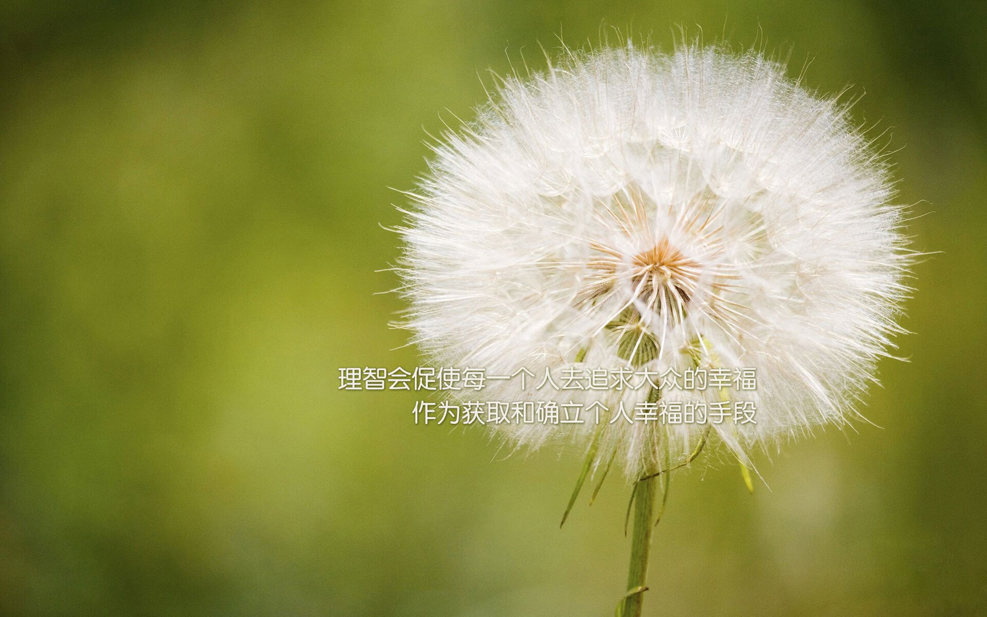 浓眉摧毁鹈鹕内线如魔术幻术,攻防教科书式表演定义现代篮球