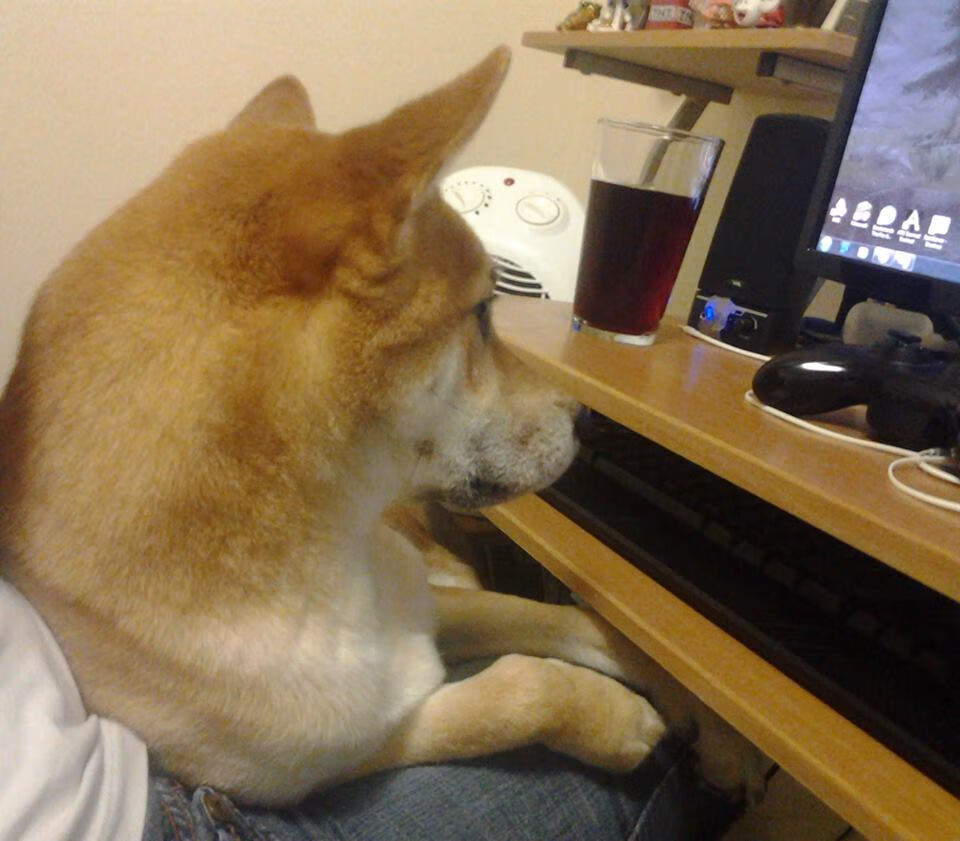 诗人与刀锋，巴尔韦德在东决关键战之夜的硬仗艺术