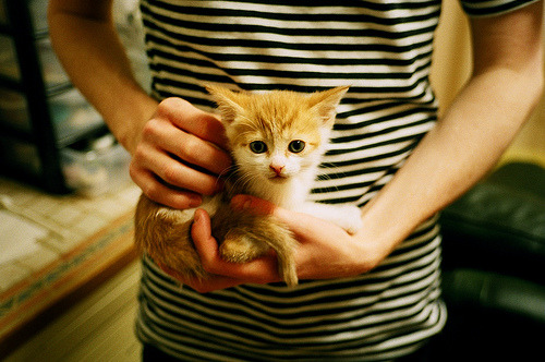 开云体育登录-加拉加斯之巅，当美洲虎撕咬蓝黑军团，内马尔在终章画下唯一签名