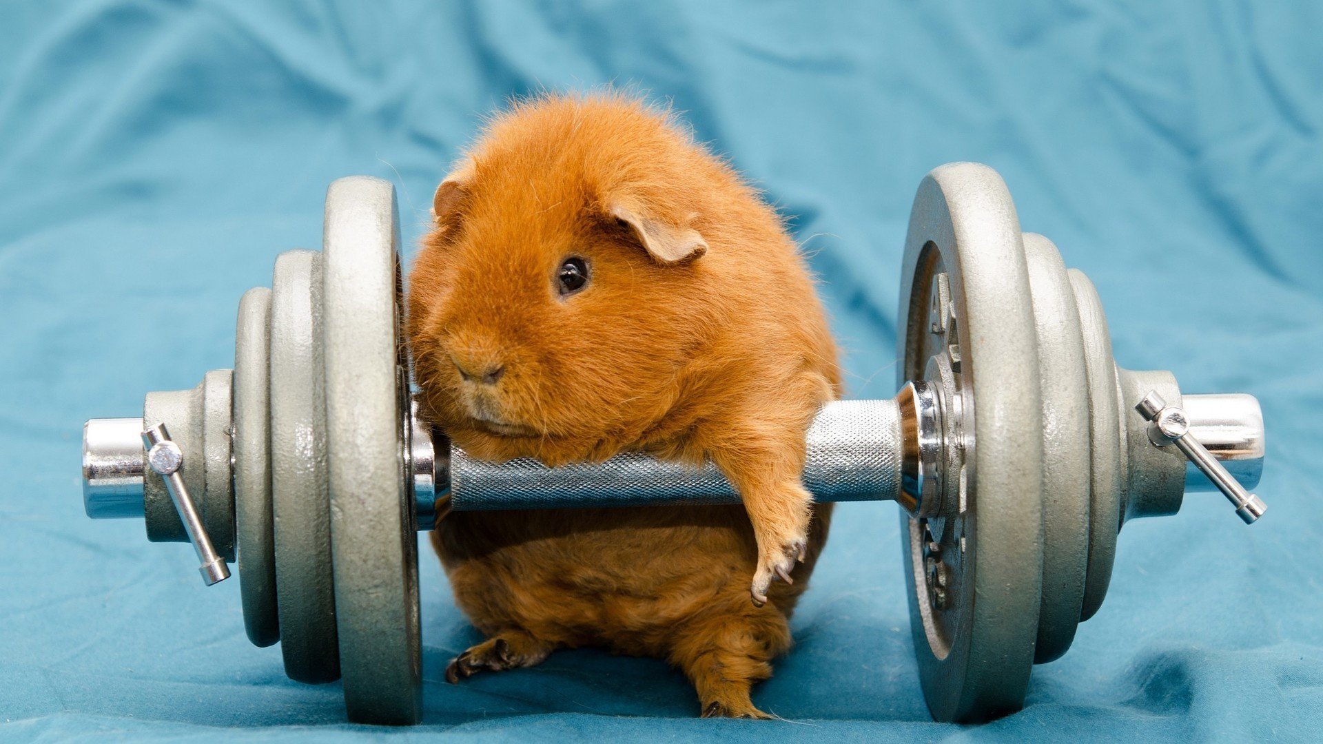 开云体育APP下载-当迪巴拉在西决生死战接管比赛，皇马却在克罗地亚爆冷