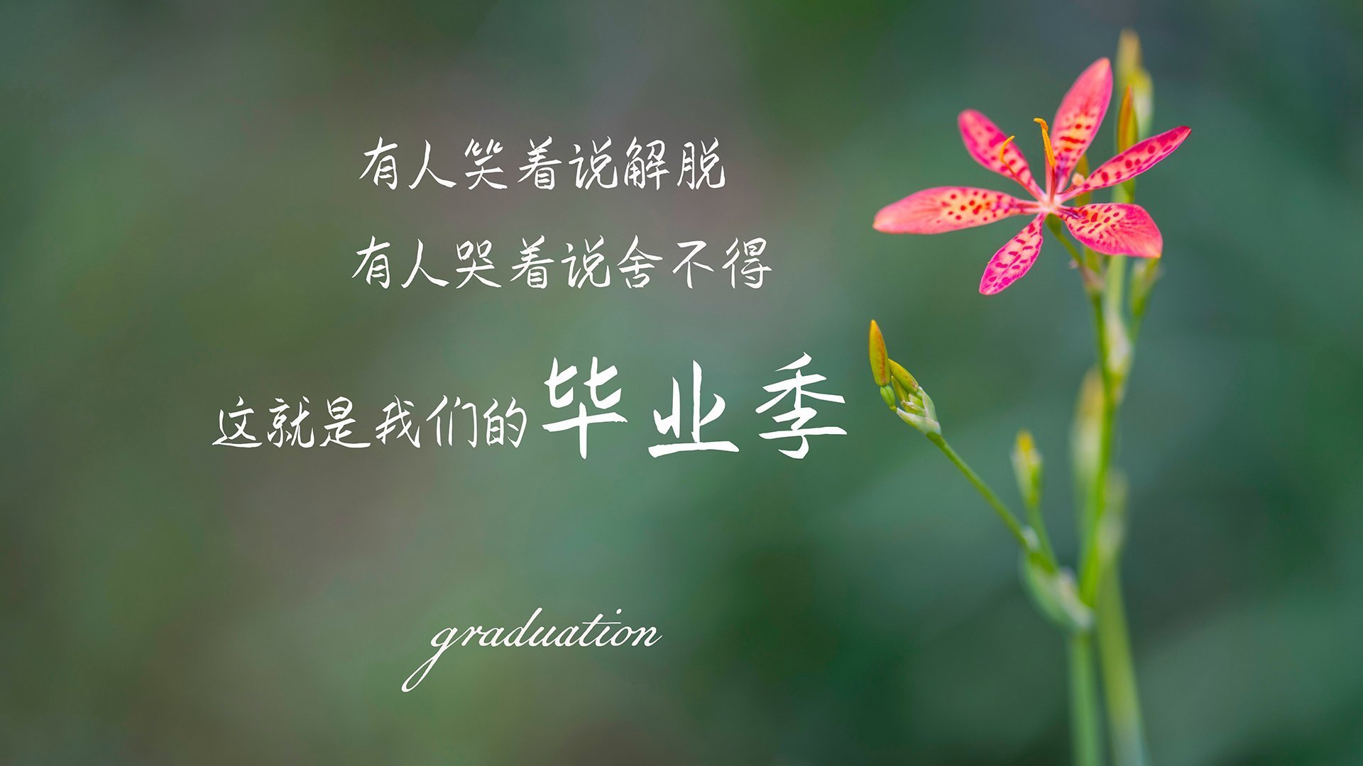 开云体育在线-大阪雨夜，日耳曼战车以退为进，穆西亚拉致命一击，葡萄牙人吞下防守反击的苦果